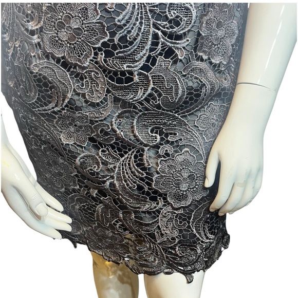 Adrianna Papell Lace Illusion Sheath Dress Charcoal Floral Cocktail, 14 - Picture 6 of 13
